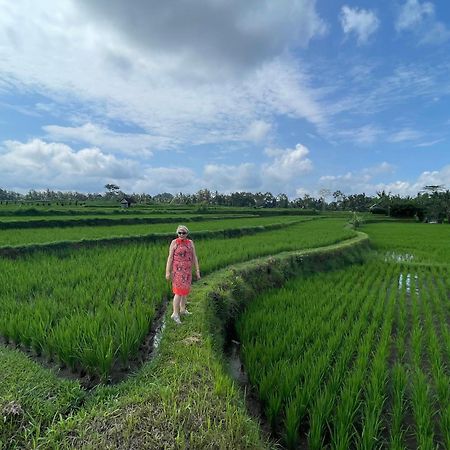 Puri Kasih Gottlieb Hotel Ubud  Ngoại thất bức ảnh
