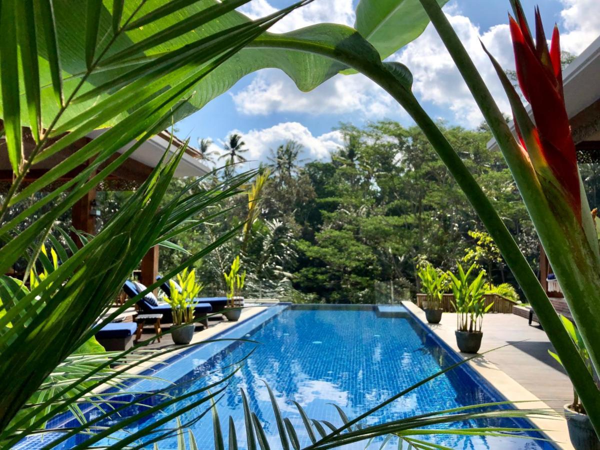 Puri Kasih Gottlieb Hotel Ubud  Ngoại thất bức ảnh