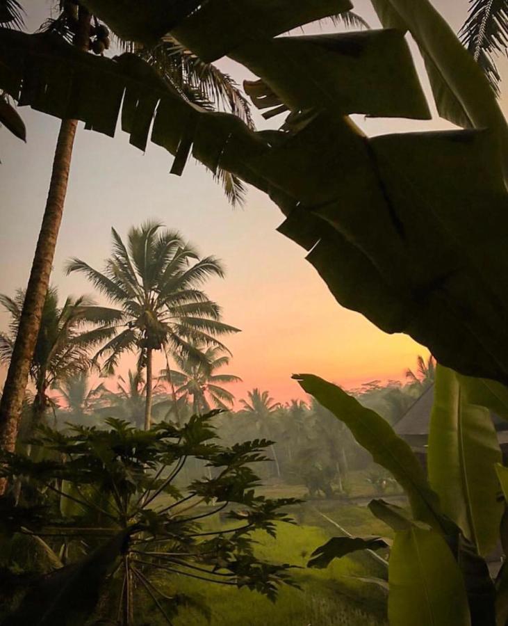 Puri Kasih Gottlieb Hotel Ubud  Ngoại thất bức ảnh