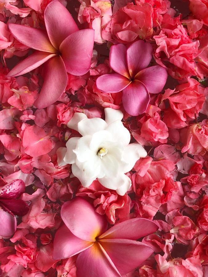 Puri Kasih Gottlieb Hotel Ubud  Ngoại thất bức ảnh