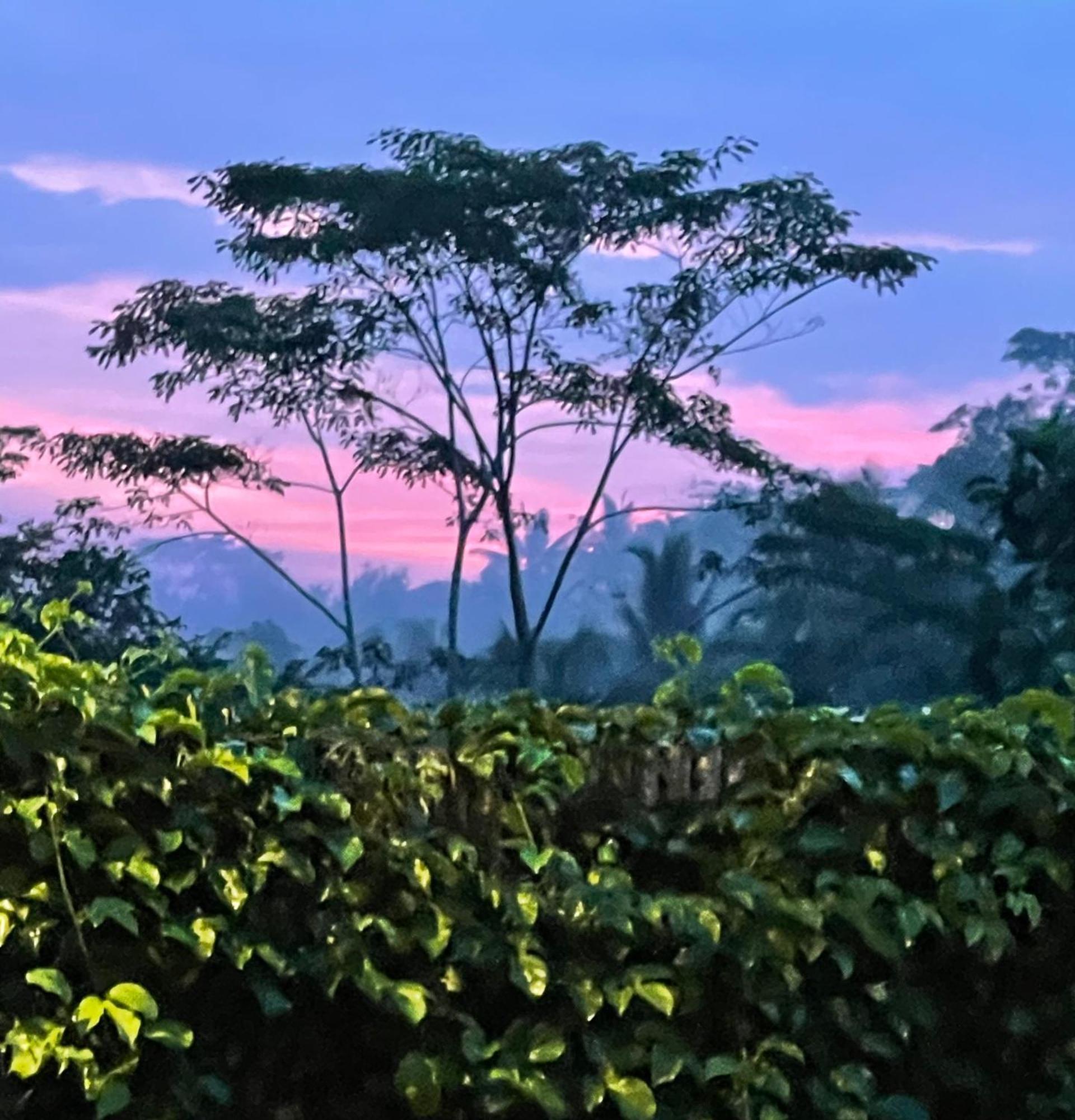 Puri Kasih Gottlieb Hotel Ubud  Ngoại thất bức ảnh